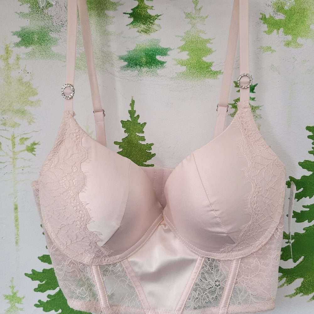 Newv Honeydew Intimates Lace/Satin Corset.